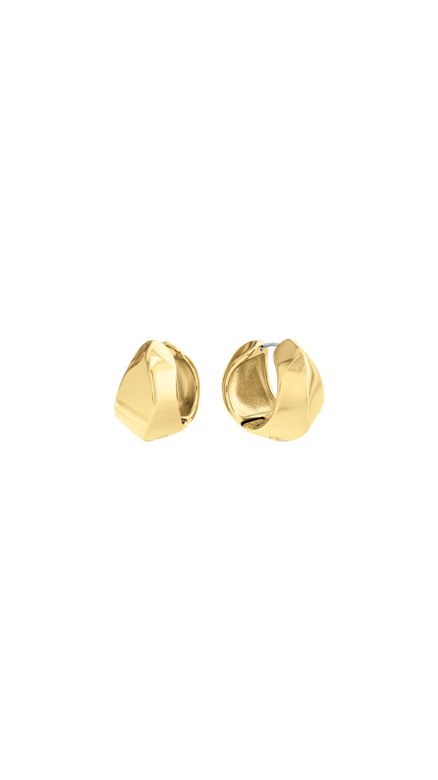 Women Sculpted Earring