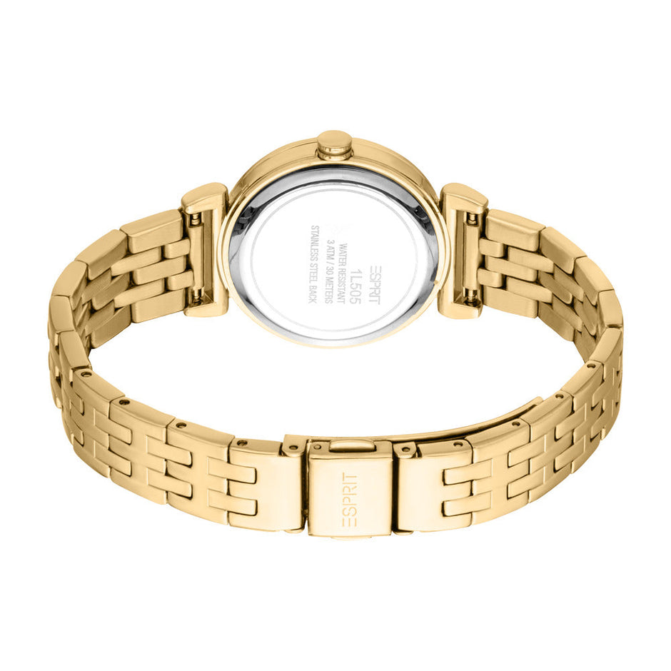 Women Georgina Gold Watch Set