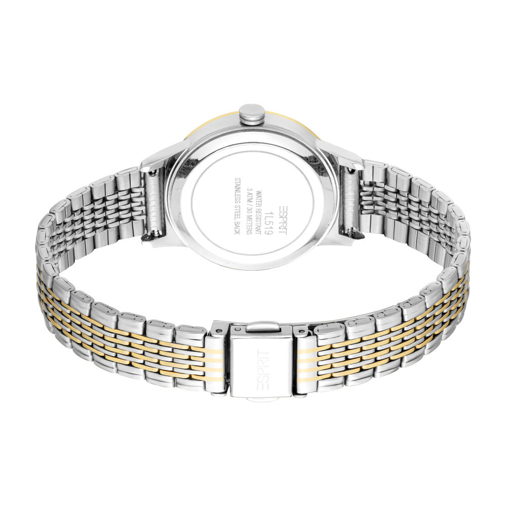 Women Violet Two Tone 30mm Watch Set
