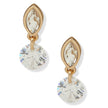 Women Nala Gold Earring