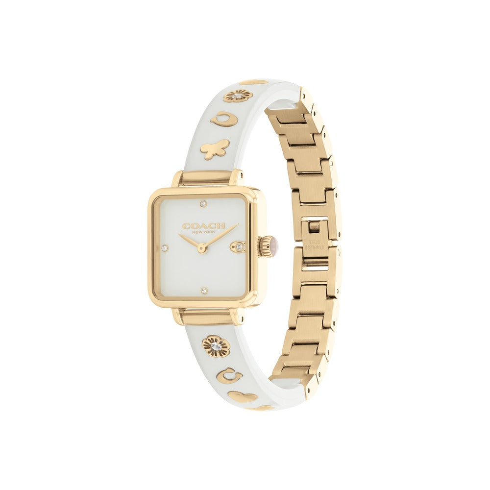 Women Cass Multicolor 22mm Watch