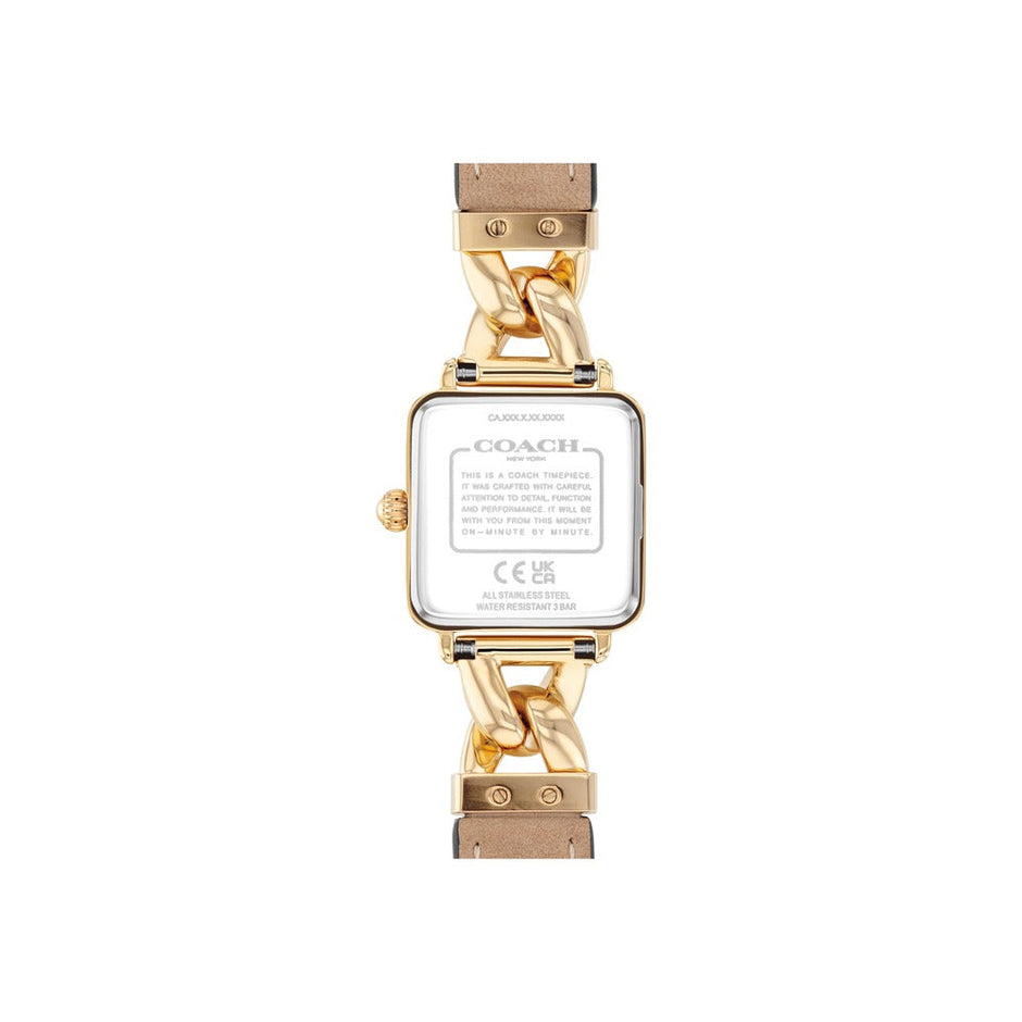 Women Cass Gold Sunray 22mm Watch