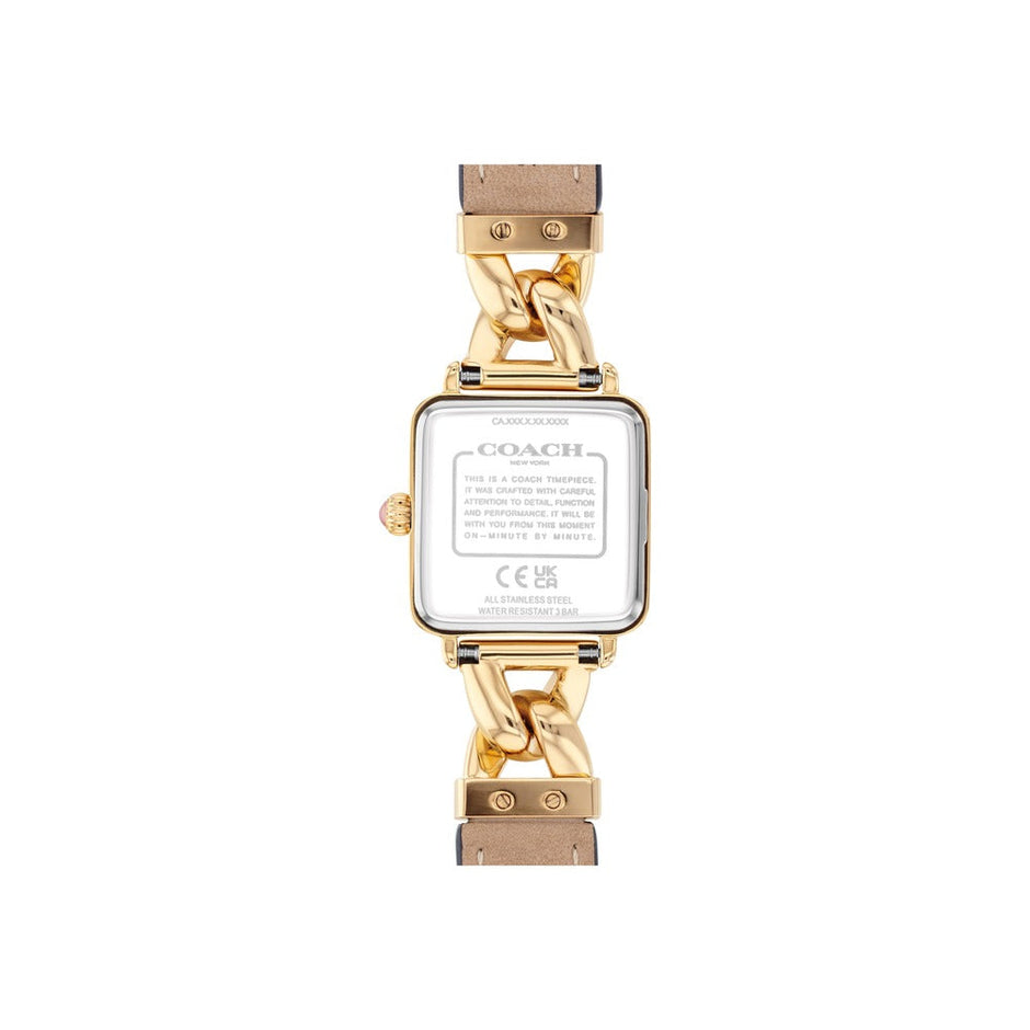Women Cass Blush 22mm Watch