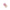 Women Sammy Pink Watch