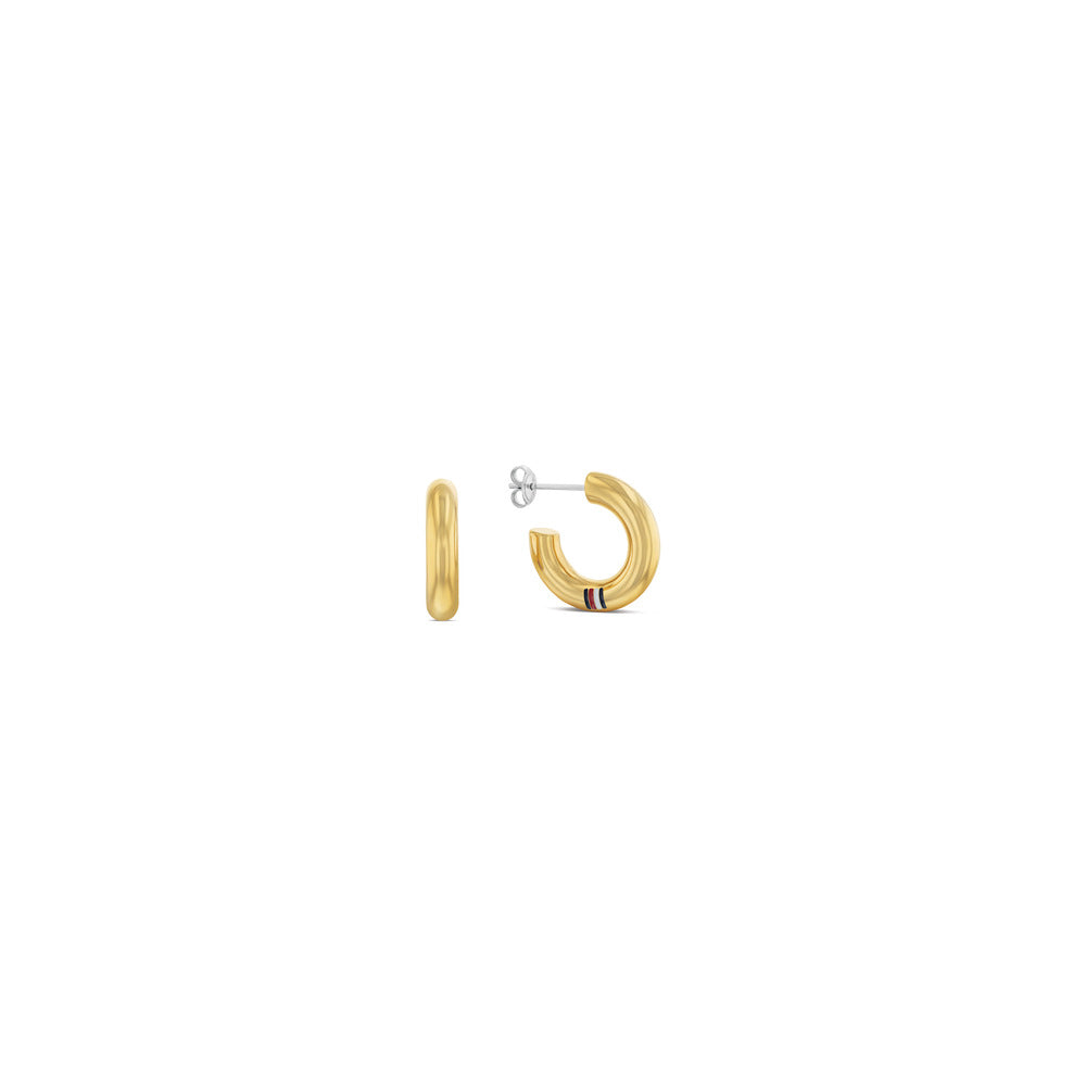 Women Gold Earring