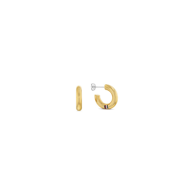 Women Gold Earring