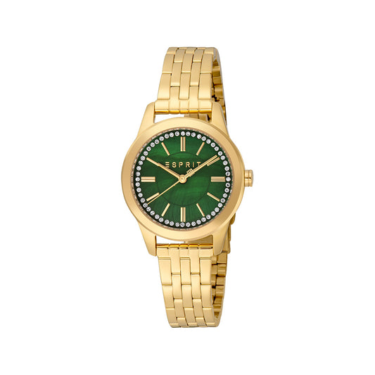 Florentine Women Green Stainless Steel Watch