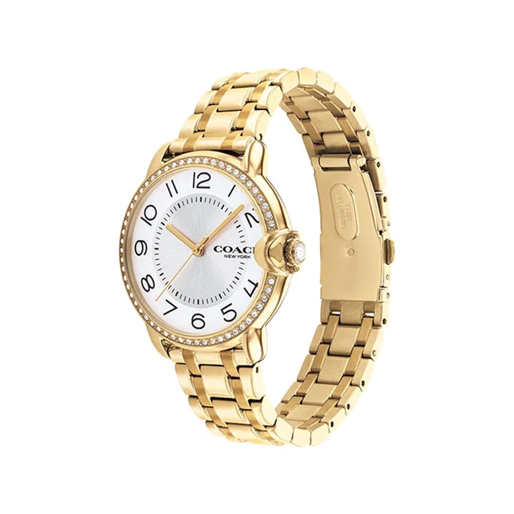 Arden Women Quartz Analog Watch