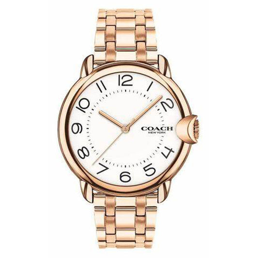 Arden Women White Quartz/Analog Watch