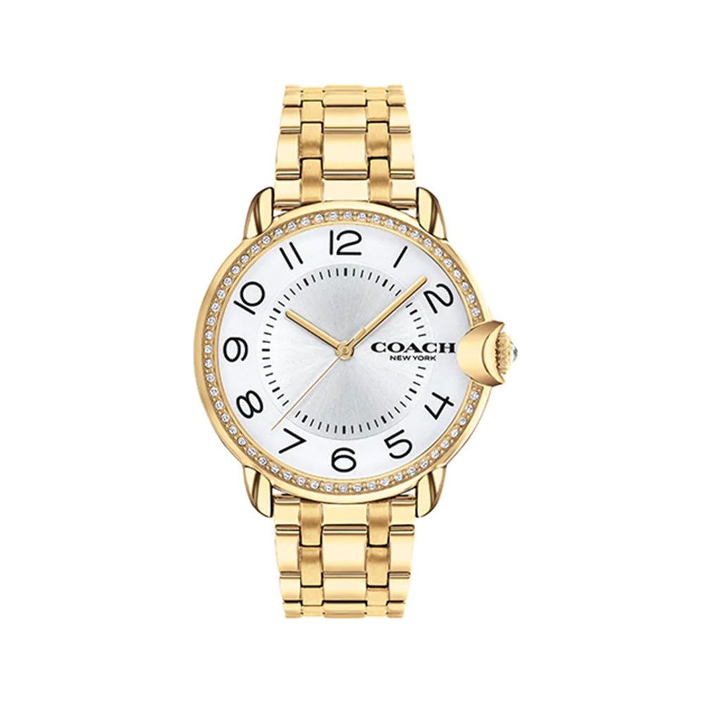 Arden Women Quartz Analog Watch