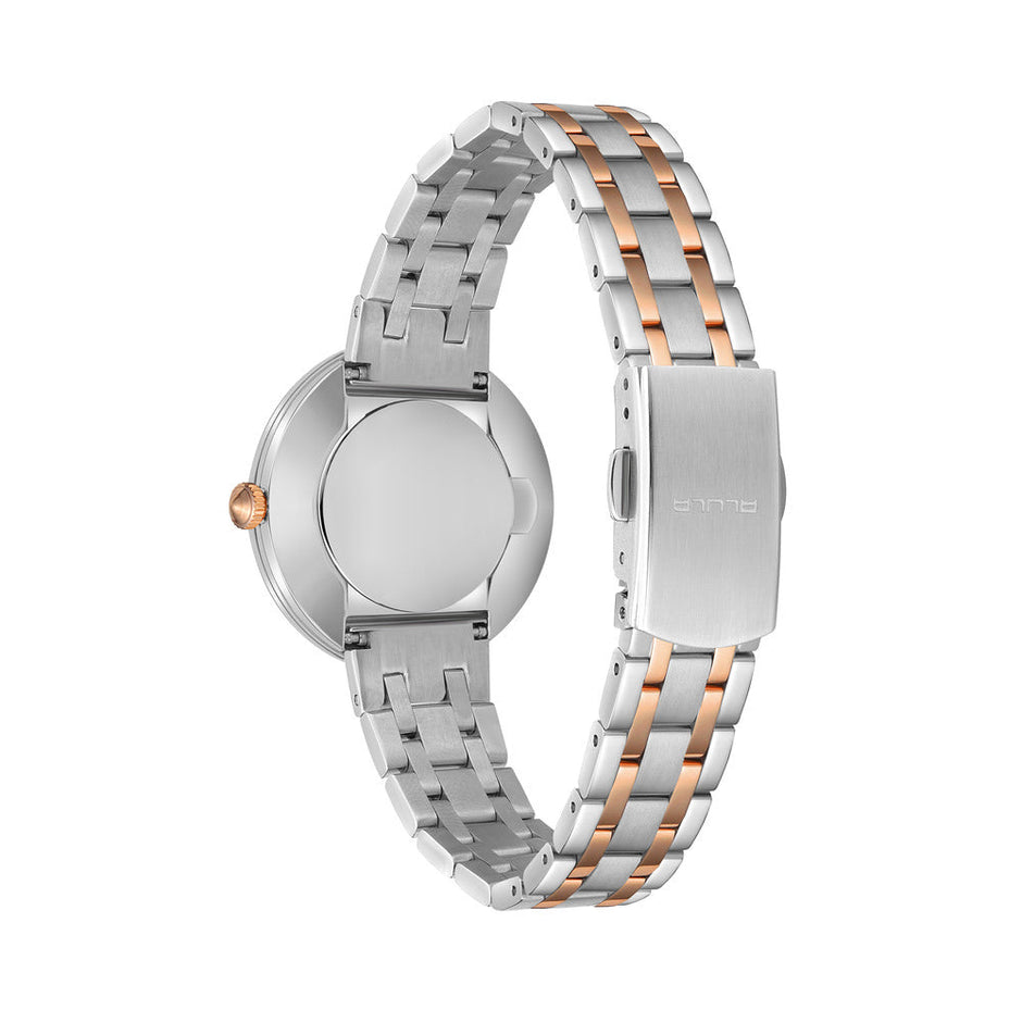Women Brown Stainless Steel 33mm Watch