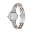Women Brown Stainless Steel 33mm Watch