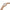 Women Norcia White Watch