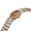 Women Norcia Brown  38.5X20mm Watch