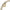 Women Adria Gold Plated 16.5mm Watch