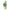 Women Milana Green 30mm Watch