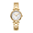 Women Essential Mini Gold 28mm Watch