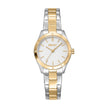 Women Willow Watch