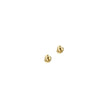Women Sentimental Earring