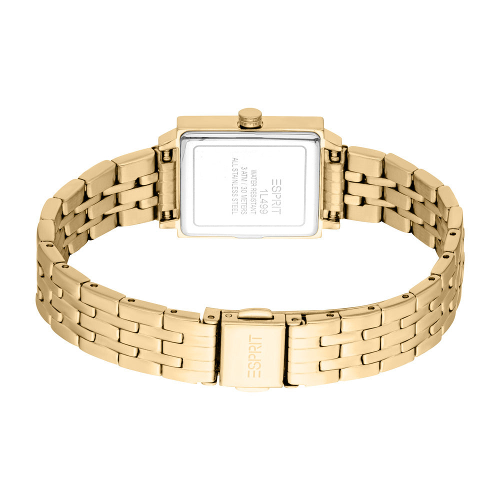 Women Amiri Gold Watch Set