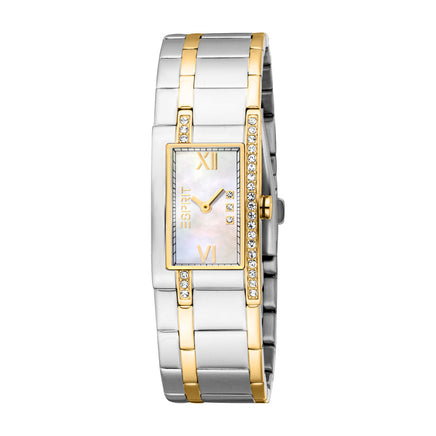 Women Houston Glitter Two Tone Watch