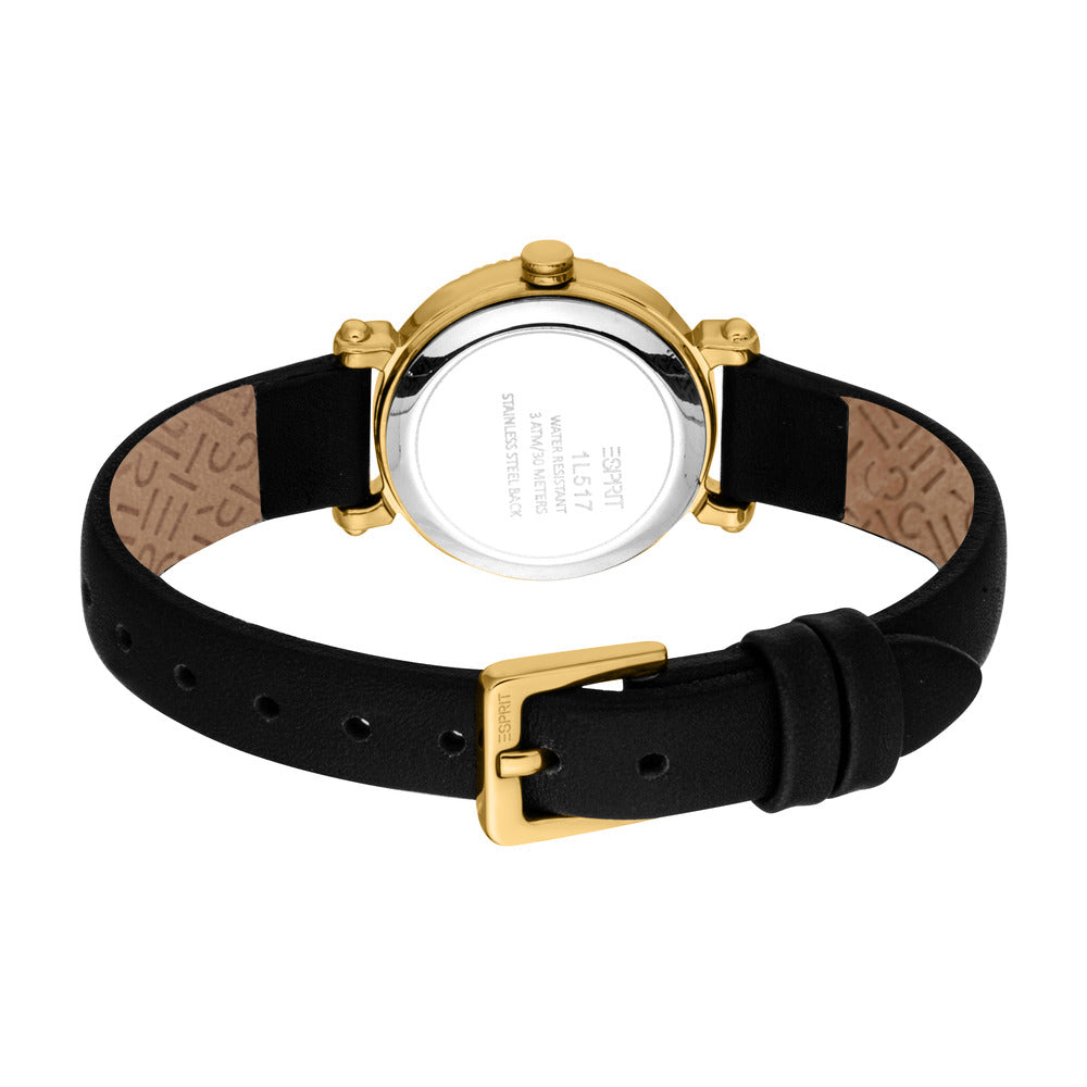Women Tess Watch