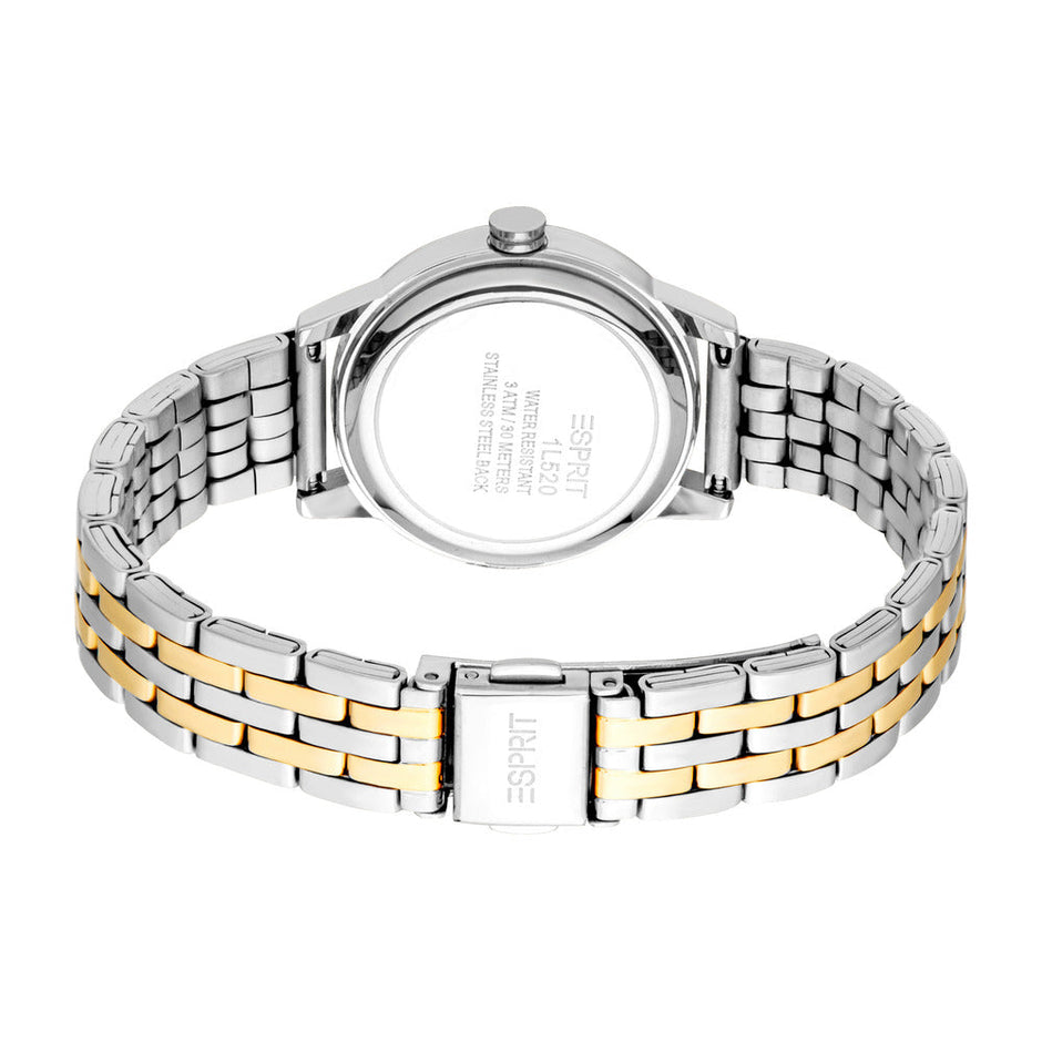 Women Catherine Two Tone Watch Set