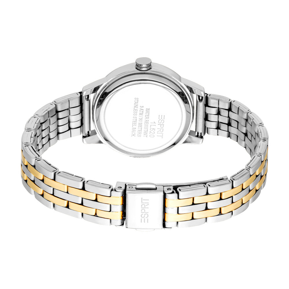 Women Catherine Two Tone Watch Set