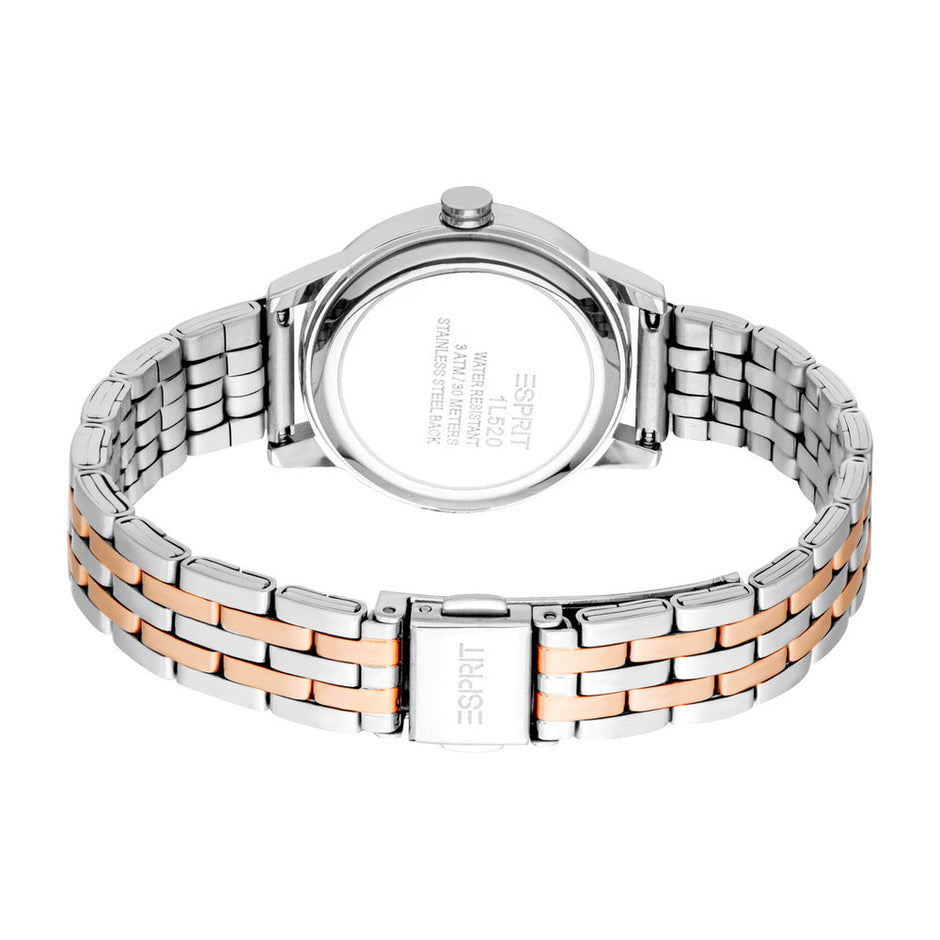 Women Catherine Two Tone Watch Set