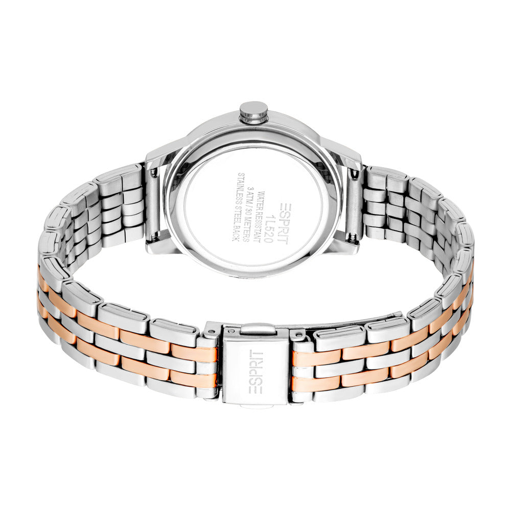 Women Catherine Two Tone Watch Set