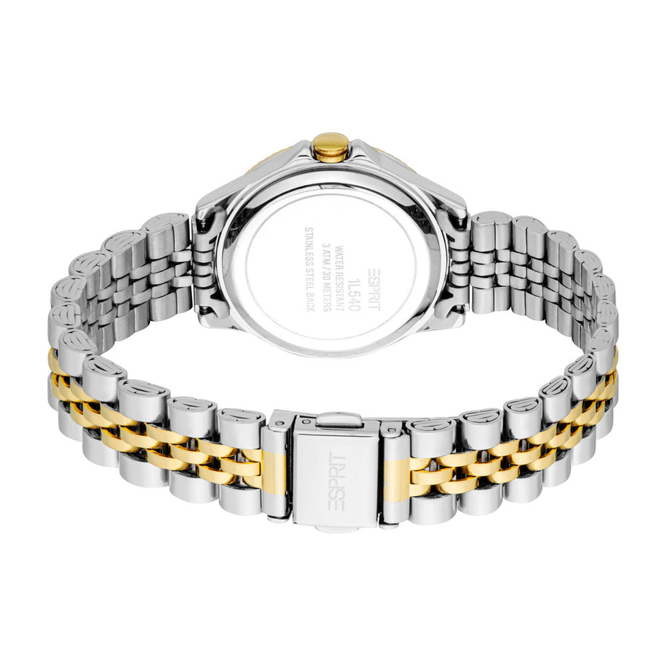 Women Citra Two Tone 30mm Watch