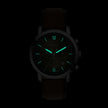 Men Neutra Brown Watch