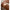Women Guess Dress Rose Gold Watch