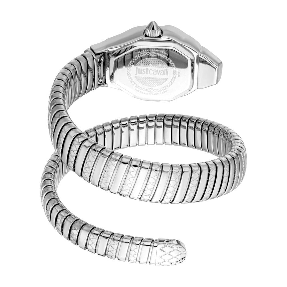 Women Aria Silver Watch