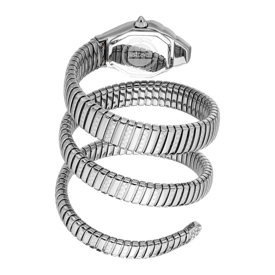 Women Ambra Silver 22X34.5mm Watch