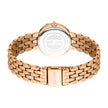 Women Rosa Rose Gold 28mm Watch