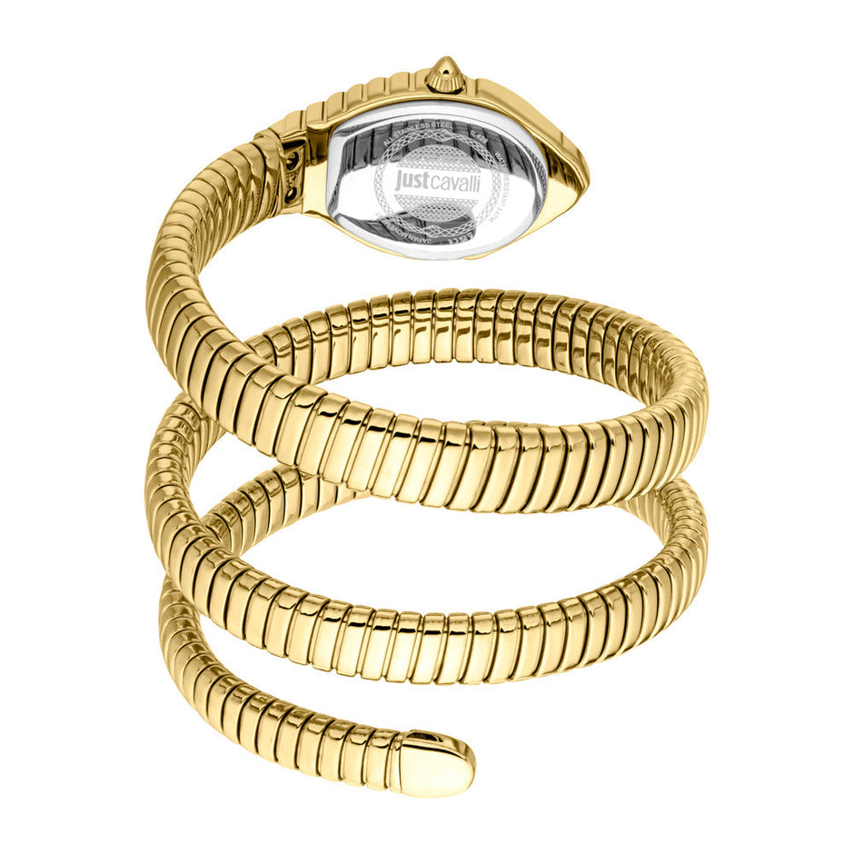 Women Sintonia Watch
