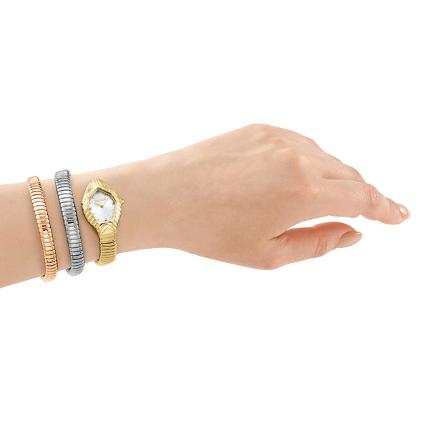 Women Sintonia Watch