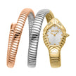 Women Sintonia Watch