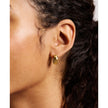 Women Ellis Two Tone Earrings