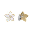 Women Sutton Earring