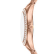 Women Harlowe Watch