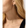 Women Kors Brilliance Earrings