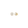 Women Premium Earring