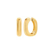 Women Premium Earring
