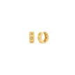 Women Premium Earring