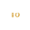 Women Premium Earring