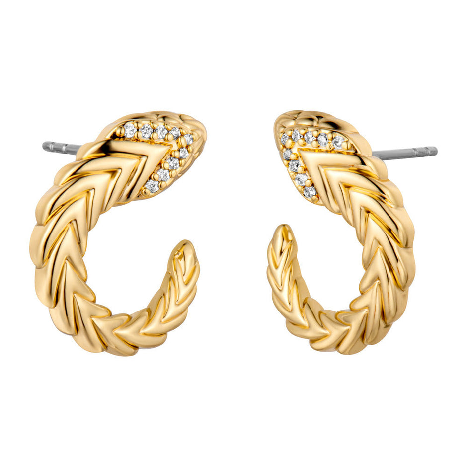 Women Earring