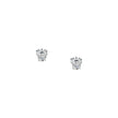 Women Earring