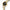 Women Gianni Two Tone Watch